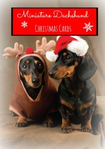 Miniature Dachshund Christmas Cards