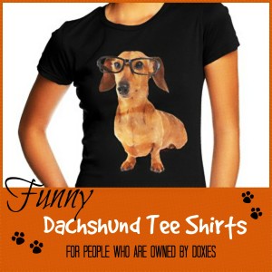 dachshund t shirts gifts