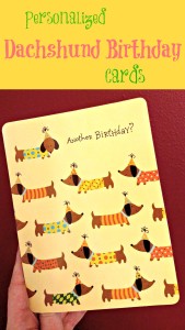 Dachshunds Birthday cards