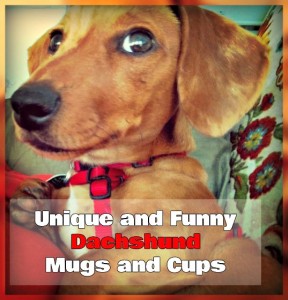 Unique and Funny Dachshund Mugs and Cups