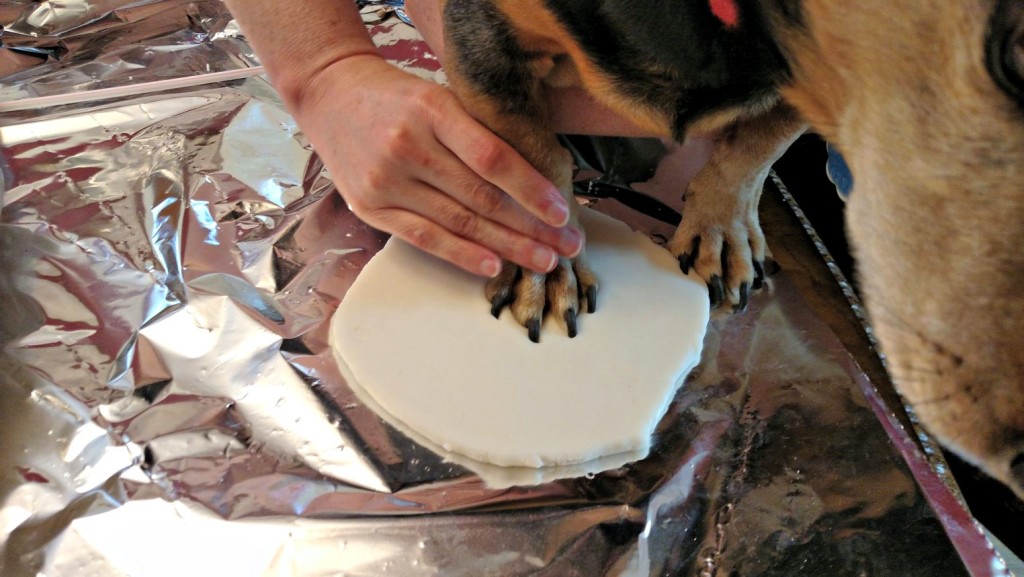 paw print ornament recipe