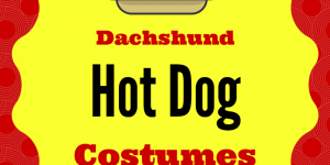 Wiener Dog Hot Dog Costume for Halloween